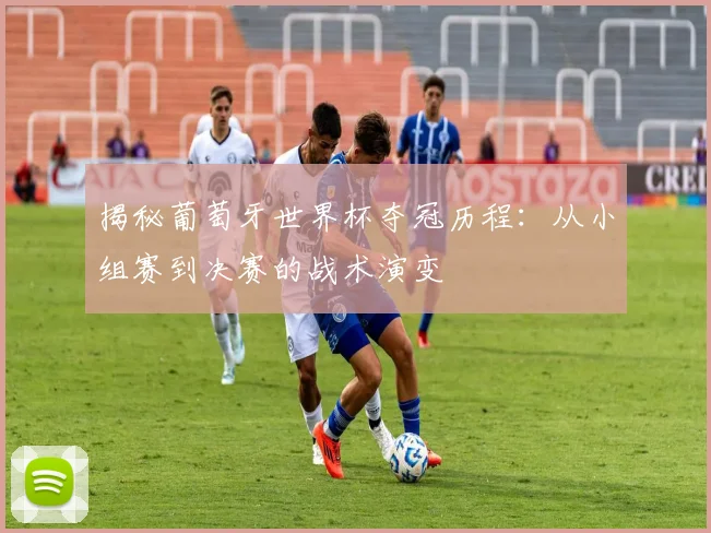 揭秘葡萄牙世界杯夺冠历程：从小组赛到决赛的战术演变