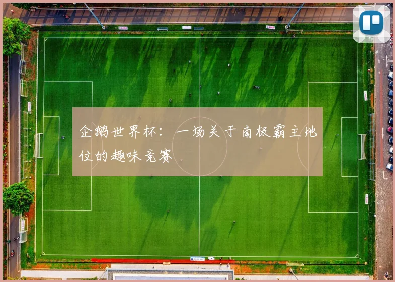 企鹅世界杯:一场关于南极霸主地位的趣味竞赛